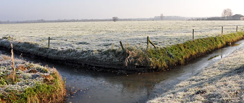 28_november_ijs_7339 Het eerste ijs van de winter 2010 Utrechtse heuvelrug