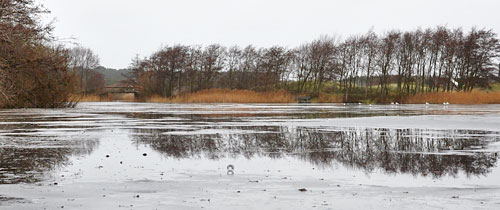 dooi_ijs_8392 Dooi en wind maakten ijs sneeuwvrij