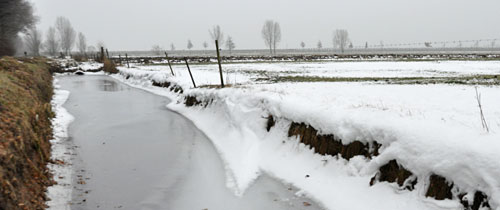 sloot_dooi_7971 Sloot in de dooi: de sneeuw smelt het eerst