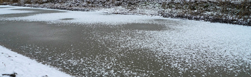 natuurijs_februari_2015 IJs om naar te kijken; te dun om te schaatsen