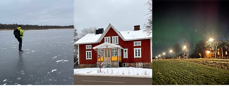 natuurijs zweden