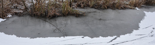 Vooral de kanten zijn zwakker geworden de afgelopen weken