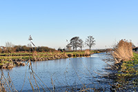 natuurijs december 2021