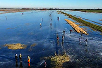 Ook in mini-winters kun je schaatsen