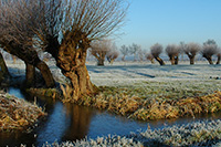 Gaat het binnenkort gebeuren?