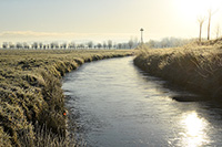 ijsvloer 11 januari 2025