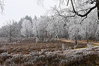 Rond nul, nul schaatsijs Rond nul, nul schaatsijs