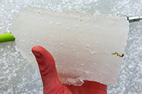 natuurijs harmen bouter