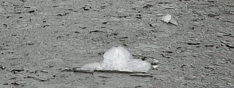 ijsschotsen natuurijs