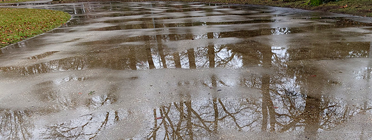 ijsbaan oosterbeek natuurijs natuurijsmeestersgilde